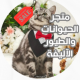 متجر الحيوانات والطيور الاليفة